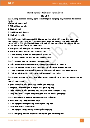 Đề thi học kì 1 môn Sinh học Lớp 12 - Đề số 1
